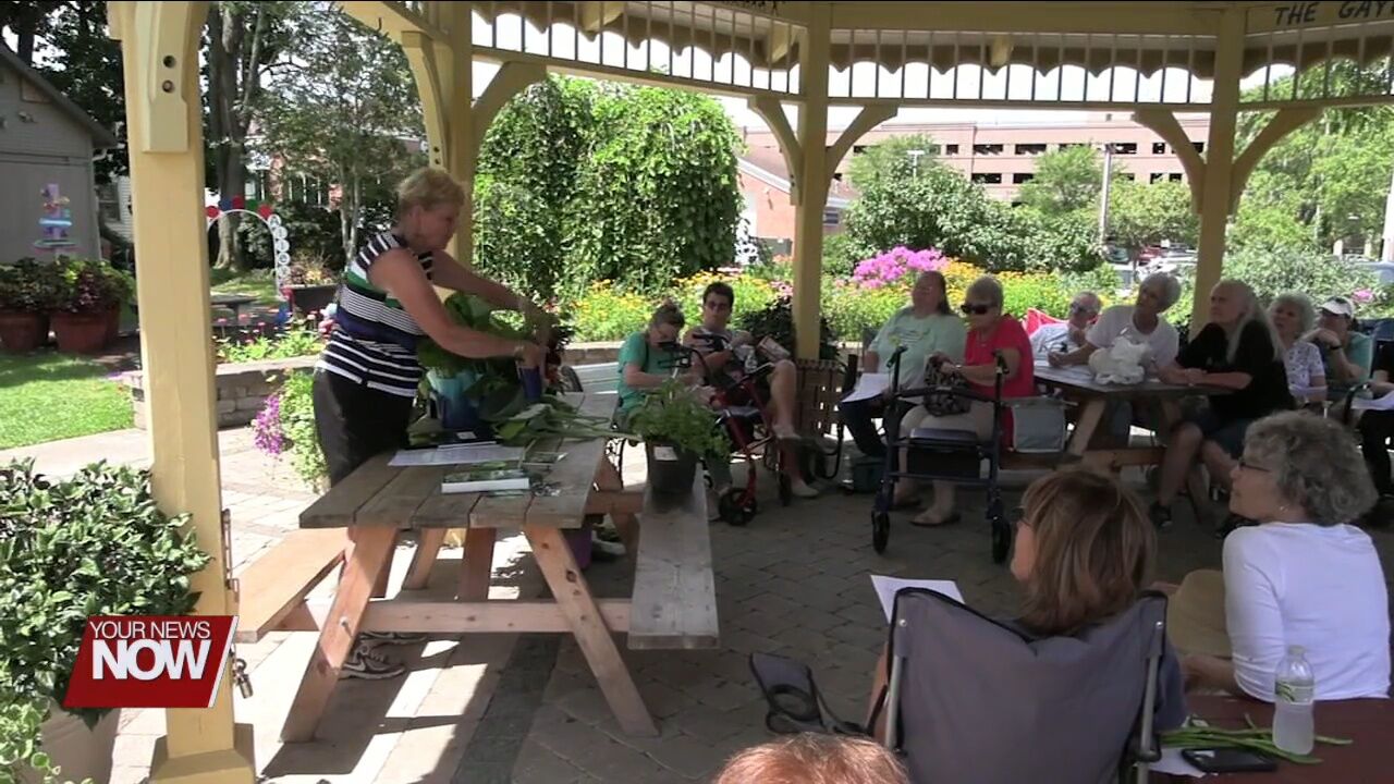 Allen County Master Gardeners Brown Bag Lunch Series shines a light on shade plants
